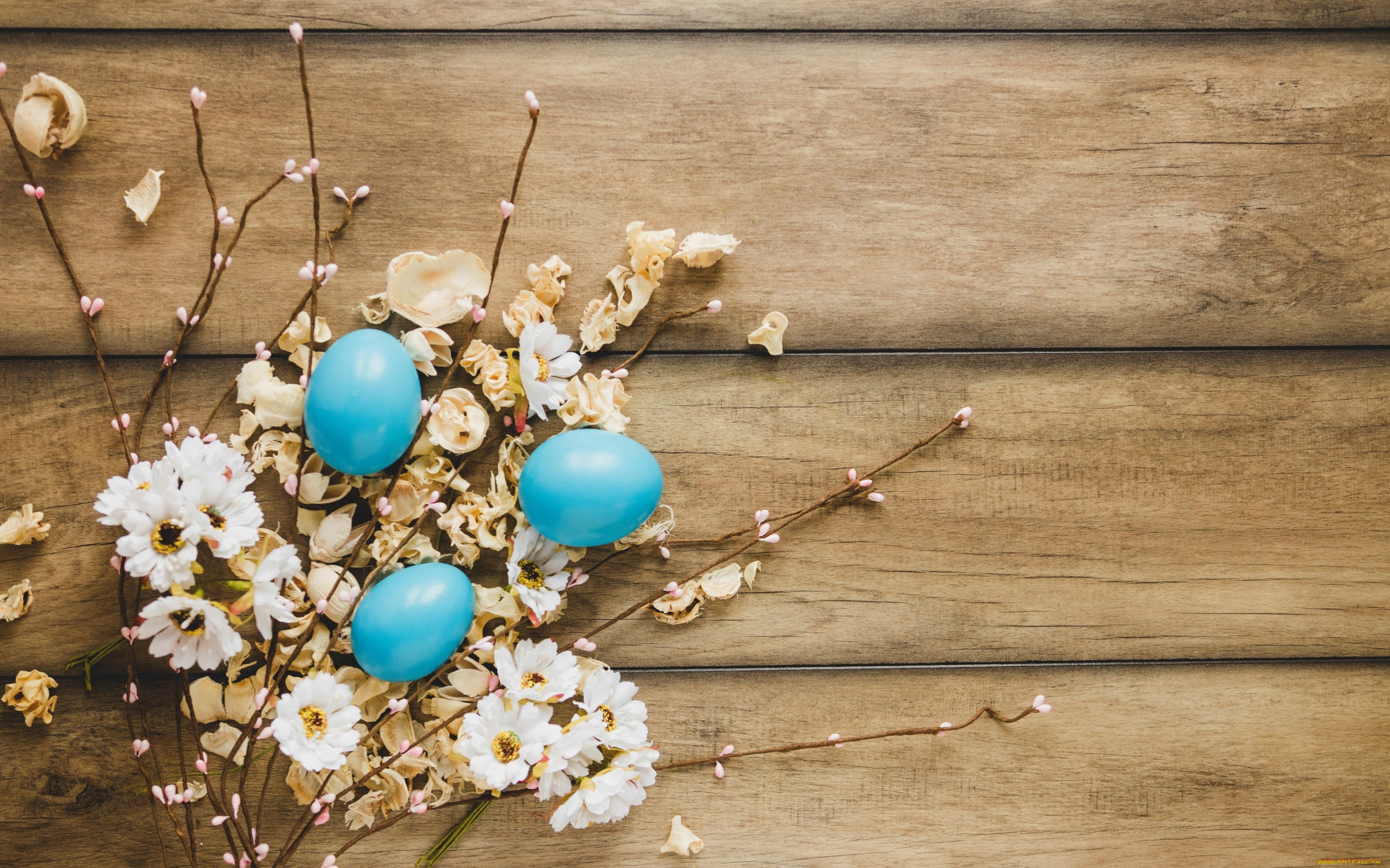 , , happy, , , eggs, , wood, decoration, , tender, easter, , flowers, spring